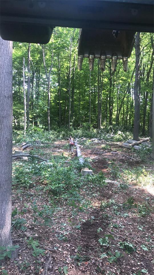 A tractor is cutting down trees in the woods.
