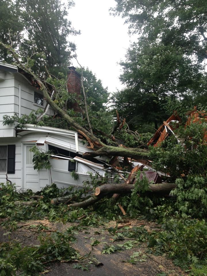 A tree has fallen on the side of a house.