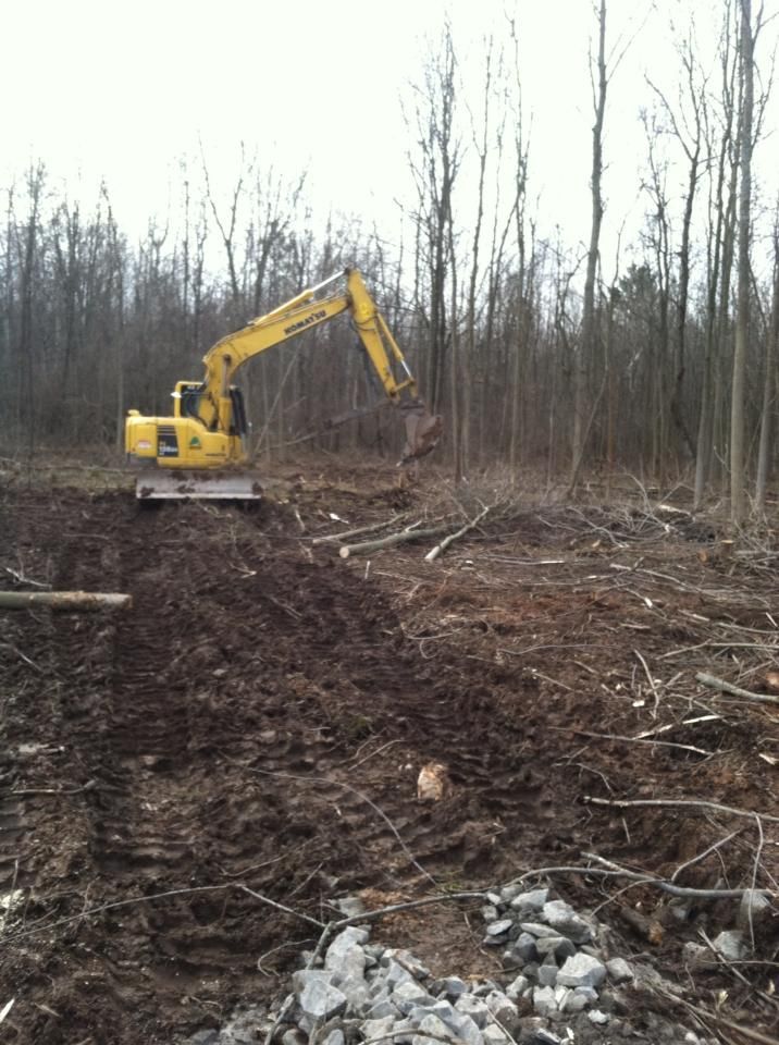 A yellow excavator is digging a hole in the middle of a forest.