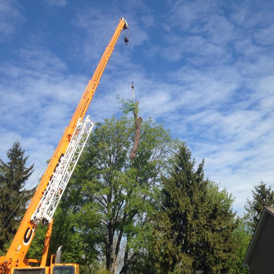 A large orange crane with the letter c on it