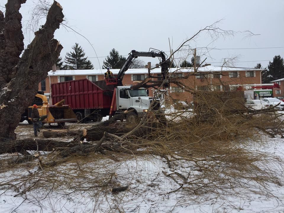 A truck with a crane on the back is carrying a pile of branches.