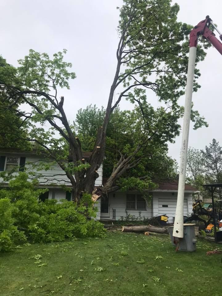 A bucket truck is cutting a tree in front of a house.