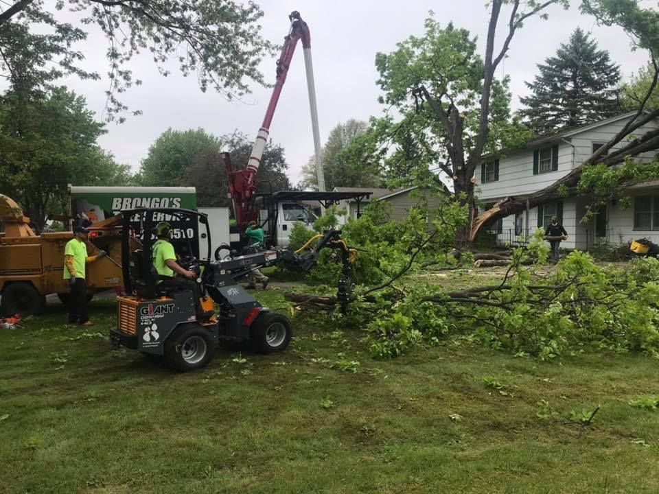 A group of people are cutting down a tree in front of a house.