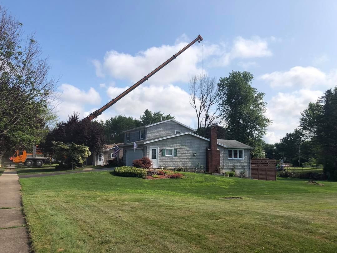 A crane is lifting a tree in front of a house.