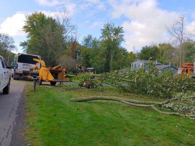A truck is parked on the side of the road next to a tree that has been cut down.