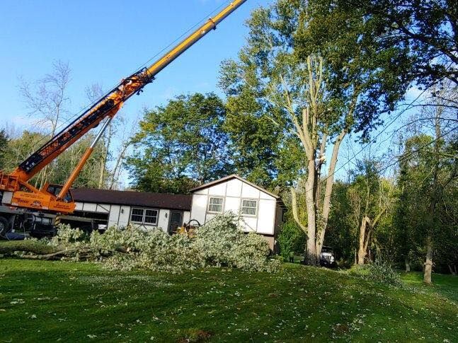 A crane is cutting a tree in front of a house.