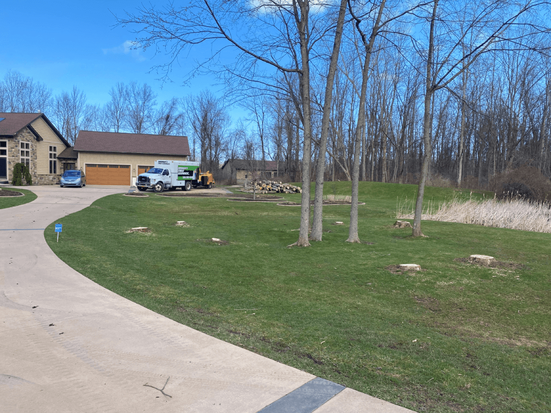 A driveway leading to a house with trees in the background