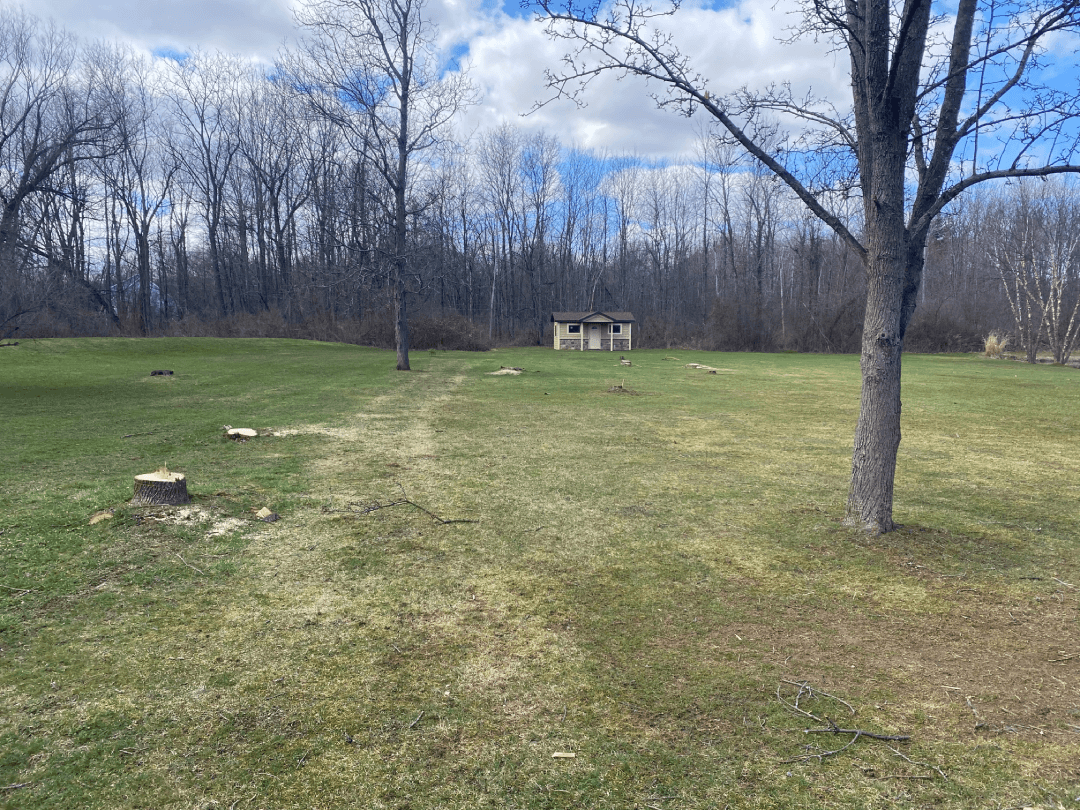 A large grassy field with trees and a house in the background.