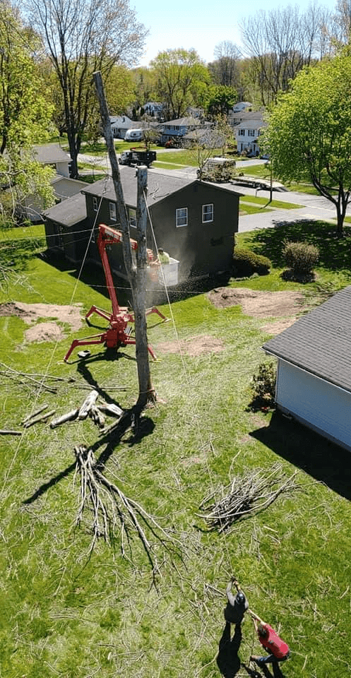 An aerial view of a tree being cut down in front of a house.