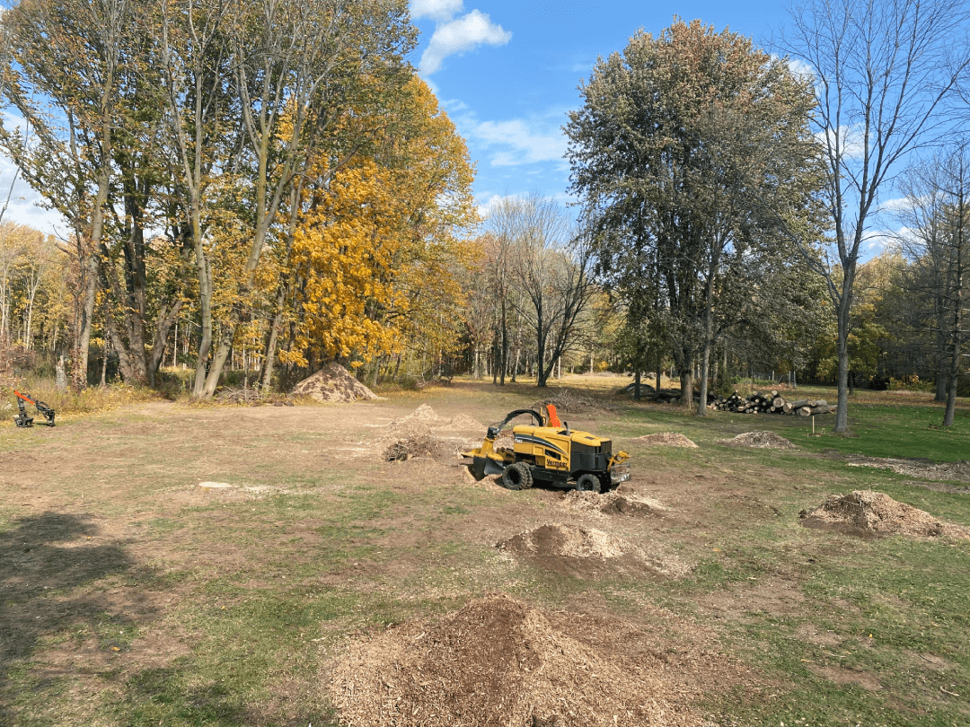 A yellow tractor is stump grinding a tree in a field.