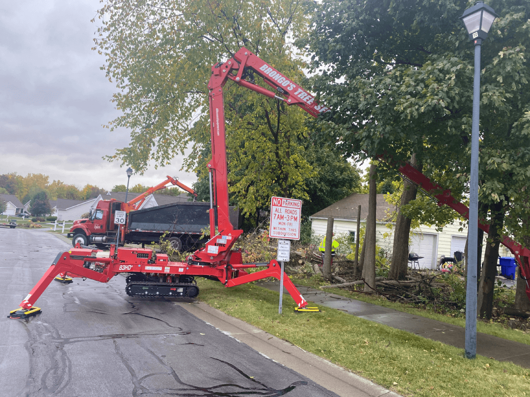 A red crane is cutting a tree on the side of the road.
