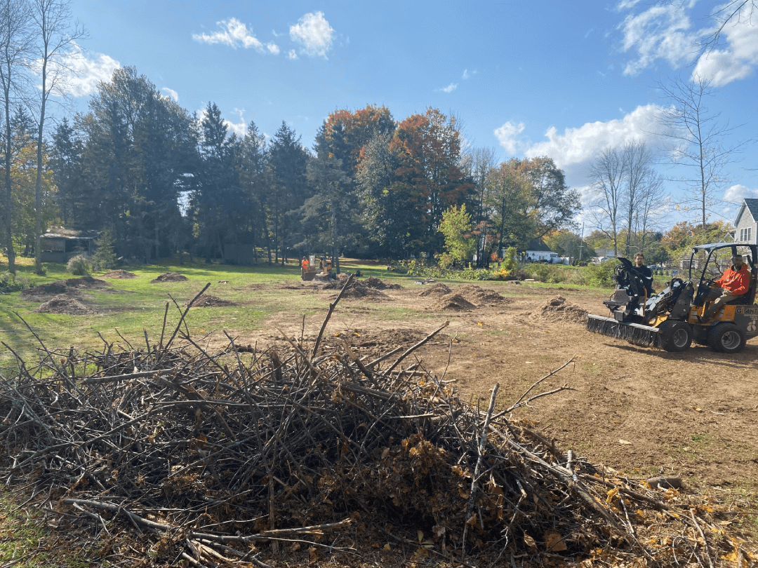 A group of people are standing in a field next to a pile of branches.