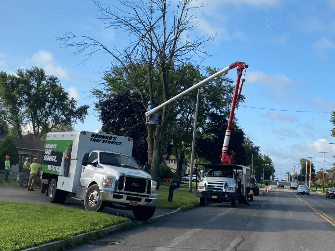 A couple of trucks are parked on the side of a street.