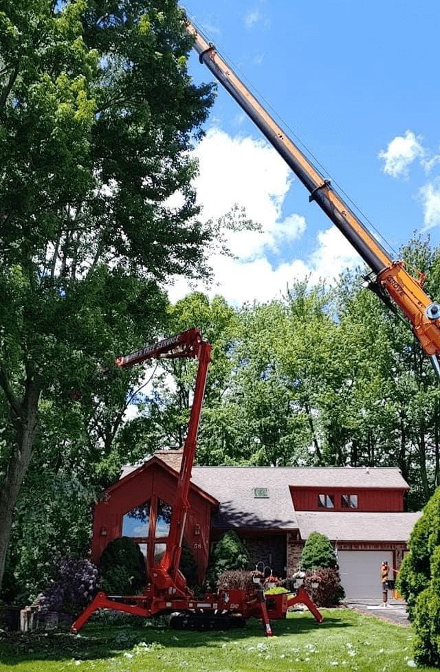 A crane is cutting a tree in front of a house.