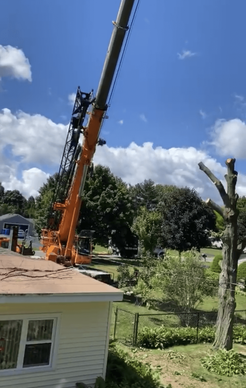 A crane is cutting down a tree in front of a house.