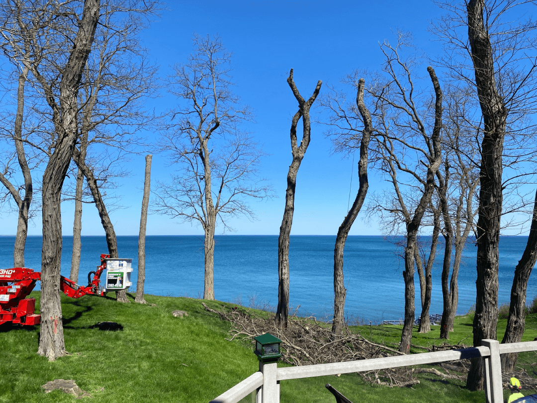 A fence surrounds a grassy hill overlooking the ocean.