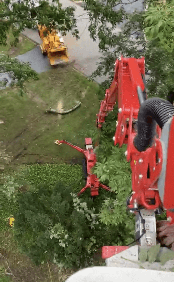 A red machine is cutting a tree in a yard.