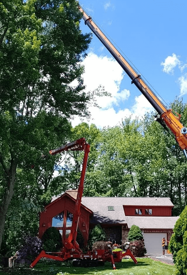 A crane is lifting a tree in front of a house.