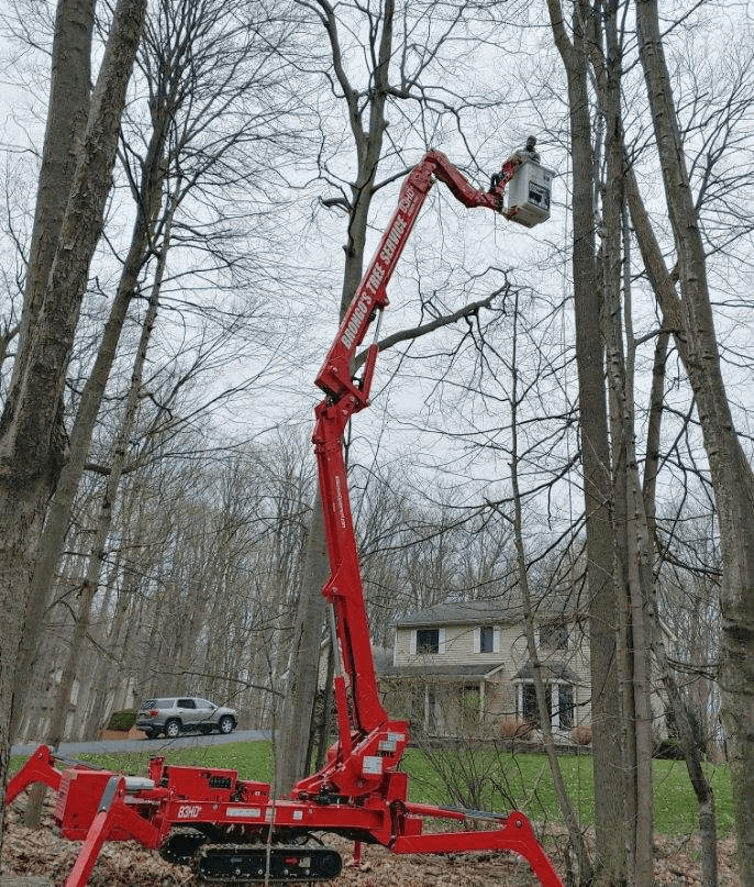 A red crane is cutting a tree in the woods.