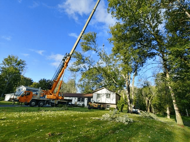 A crane is cutting a tree in front of a house.