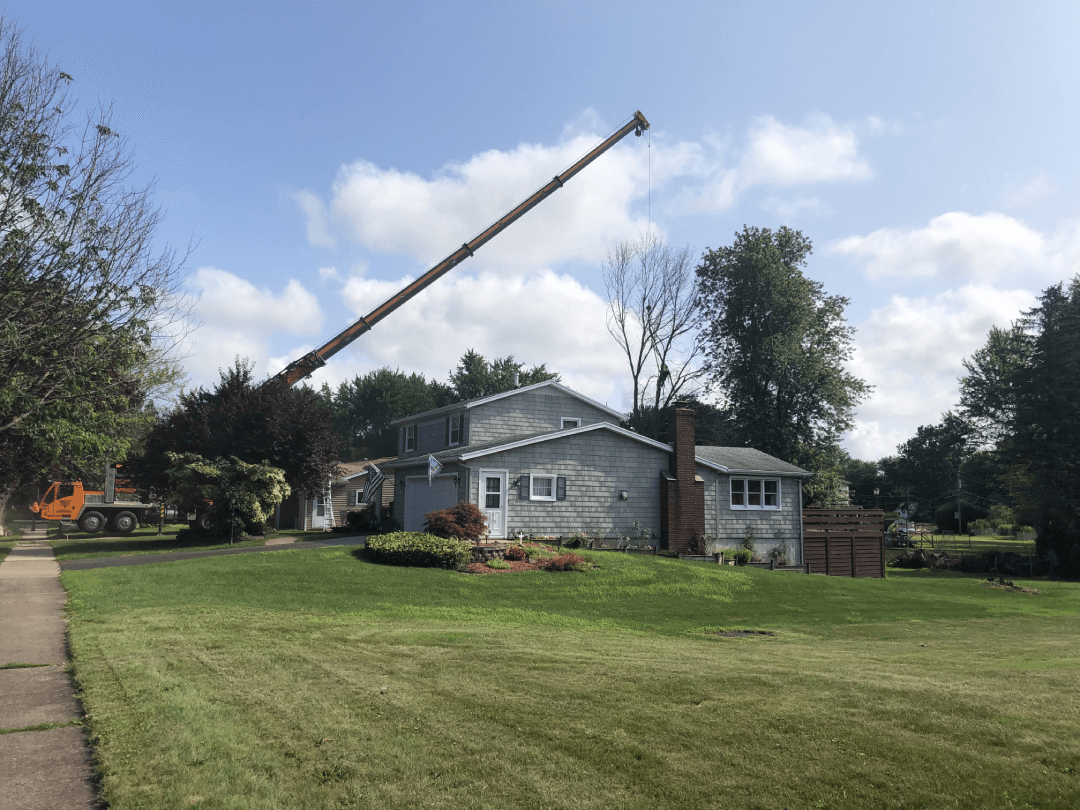 A crane is lifting a tree in front of a house.