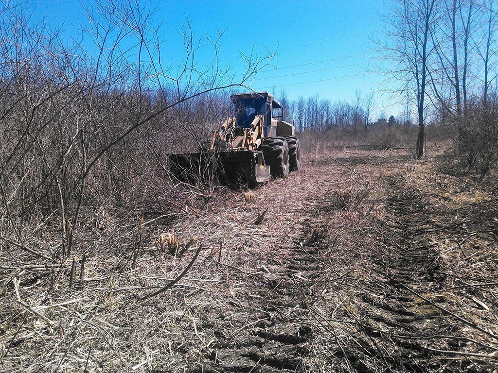 A tractor is driving down a dirt road in the woods.