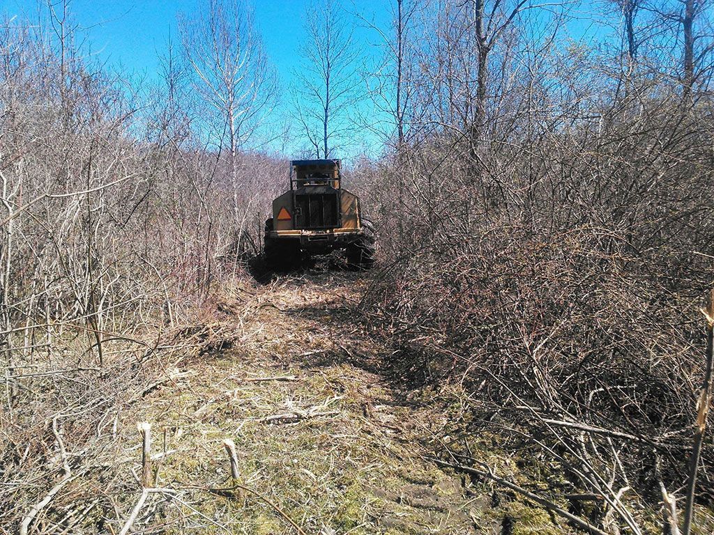 A bulldozer is driving through a lush green forest.