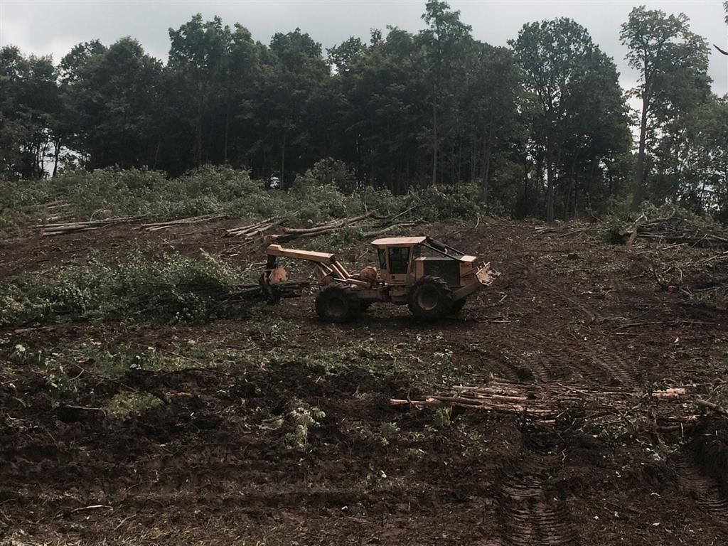 A bulldozer is working in a field with trees in the background
