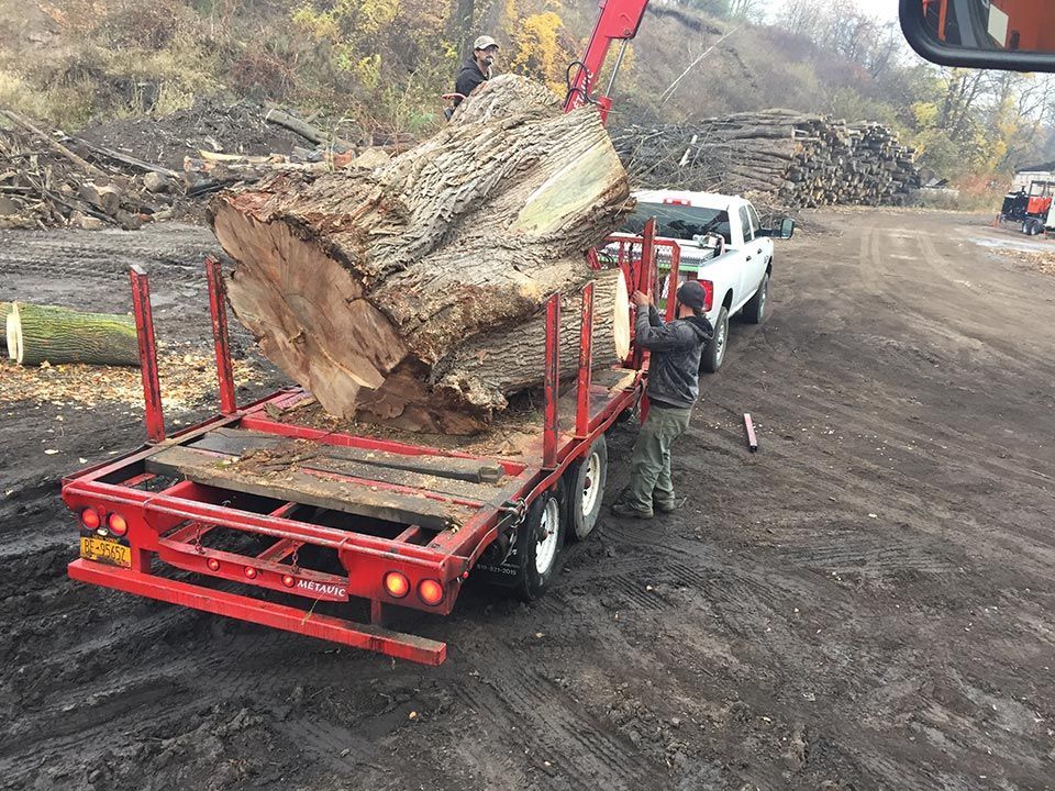 A man is loading a large log onto a trailer.