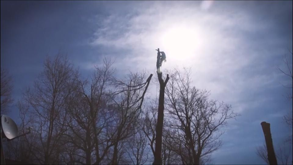 A person is standing on top of a tree with the sun shining through the clouds.