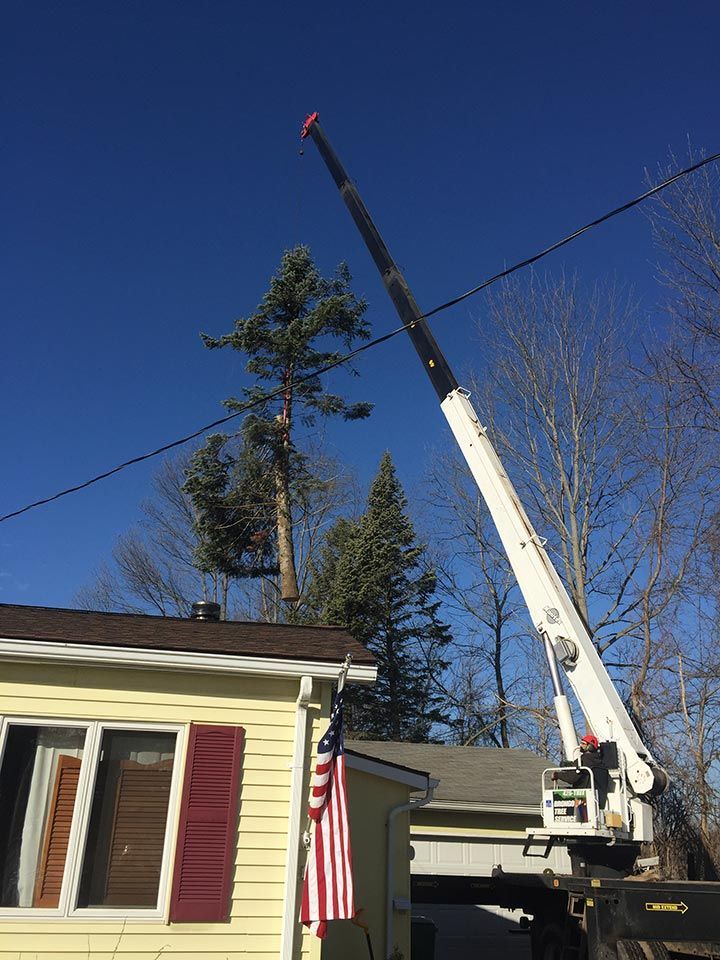 A crane is cutting a tree in front of a house.