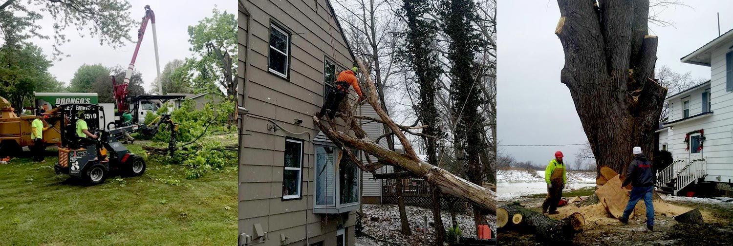 A group of people are cutting down a tree in front of a house.
