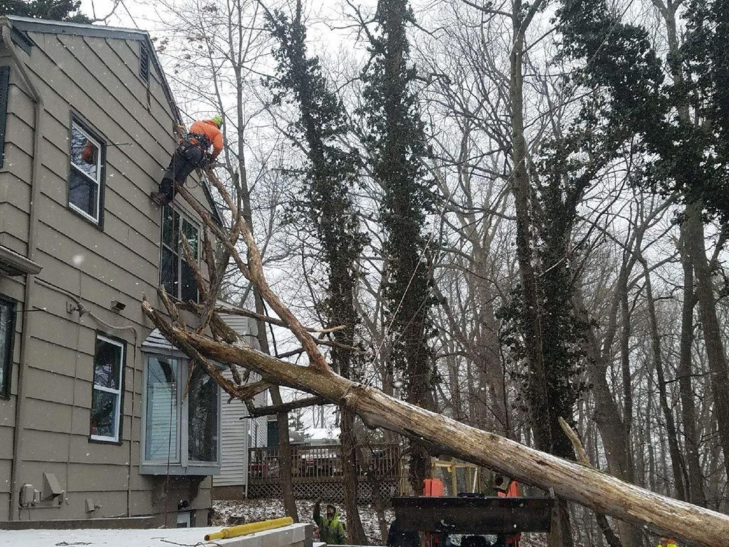 A man is cutting down a tree that has fallen on a house.