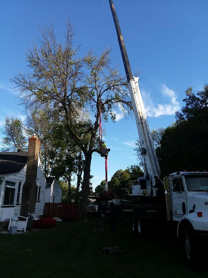 A crane is cutting a tree in front of a house.