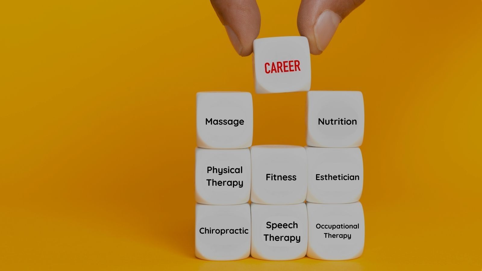 dice listing different health and wellness careers, including massage