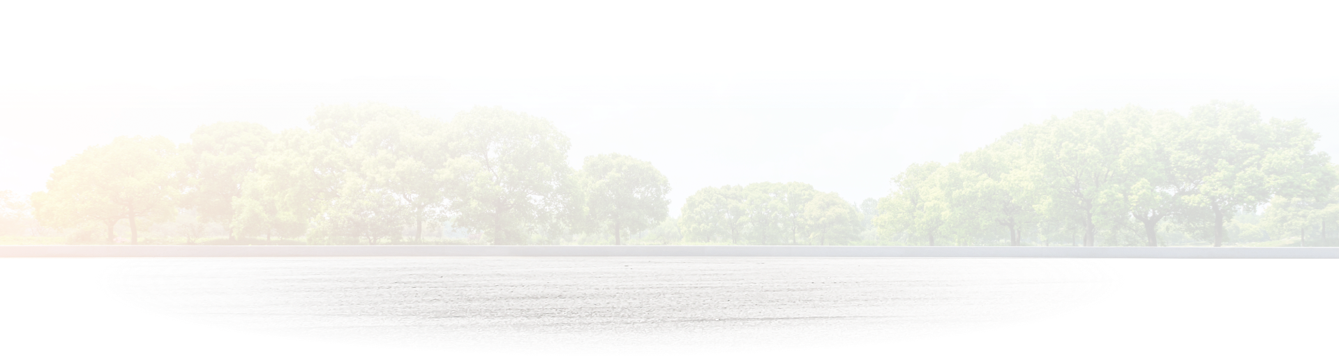 Background | S&C Automotive Inc