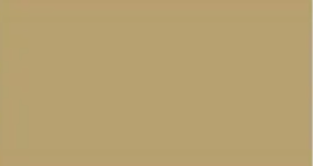 A close up of a tan background with a plain texture.