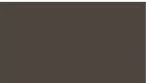 A close up of a brown tile on a white background.