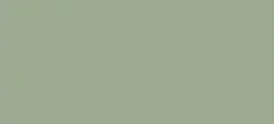 A close up of a plain green background.