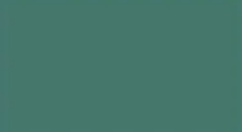 A close up of a green background with a plain texture.