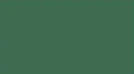 A close up of a green background.