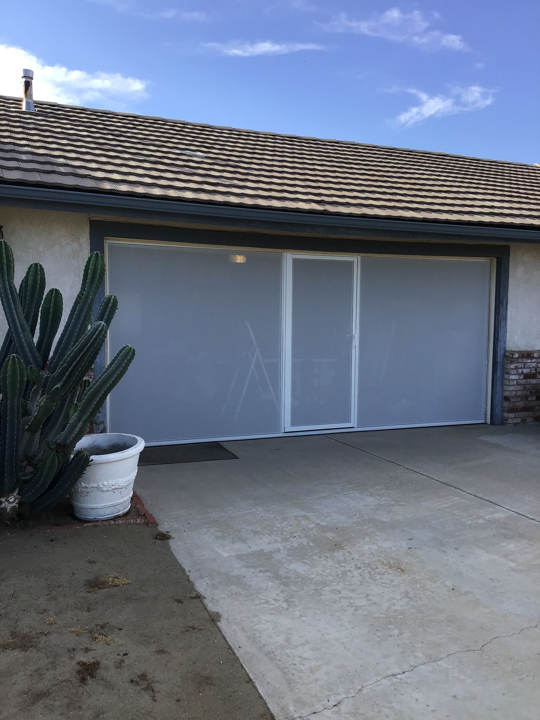 A white garage door with a cactus in front of it.