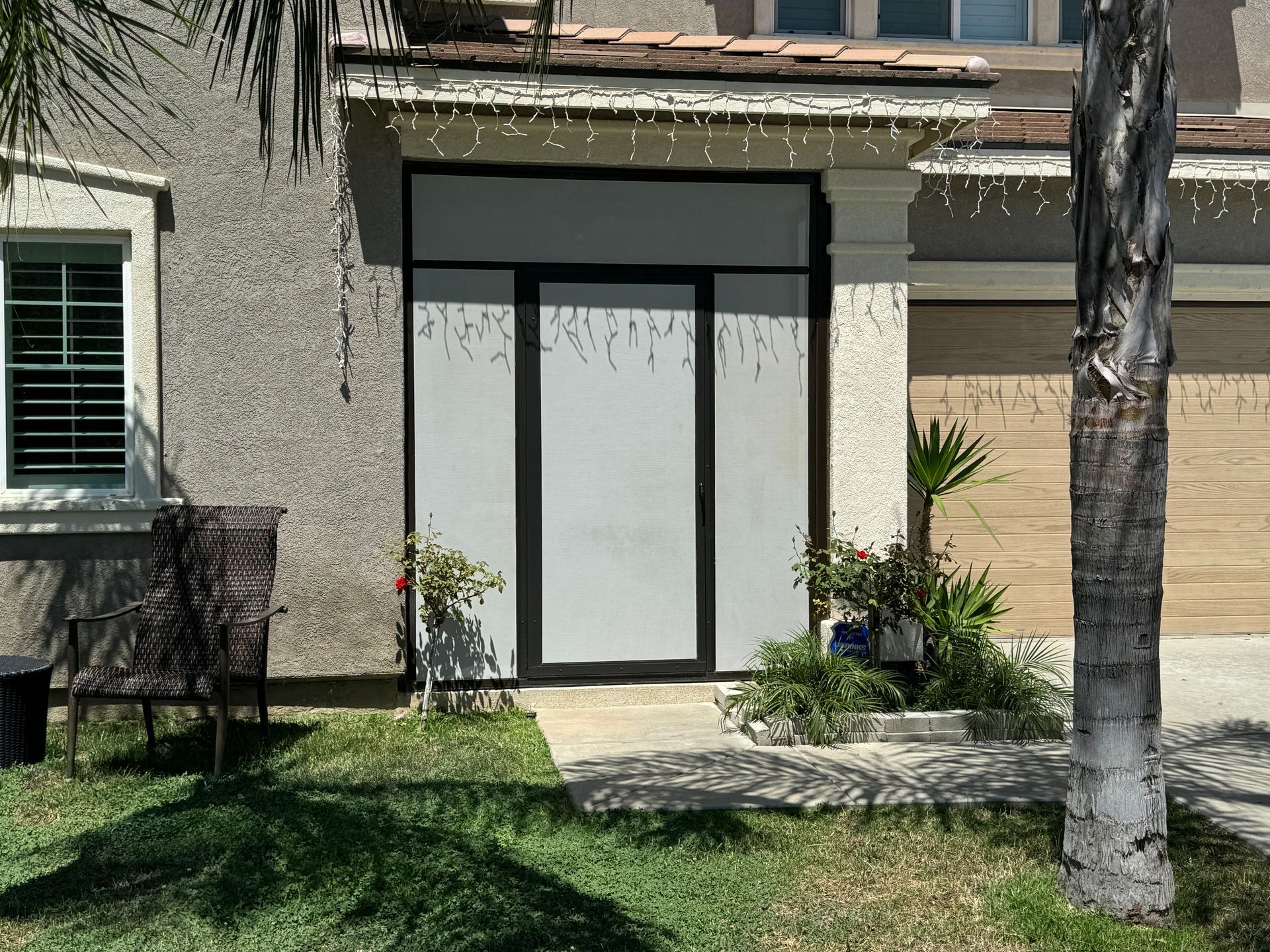 The front door of a house with a palm tree in front of it.