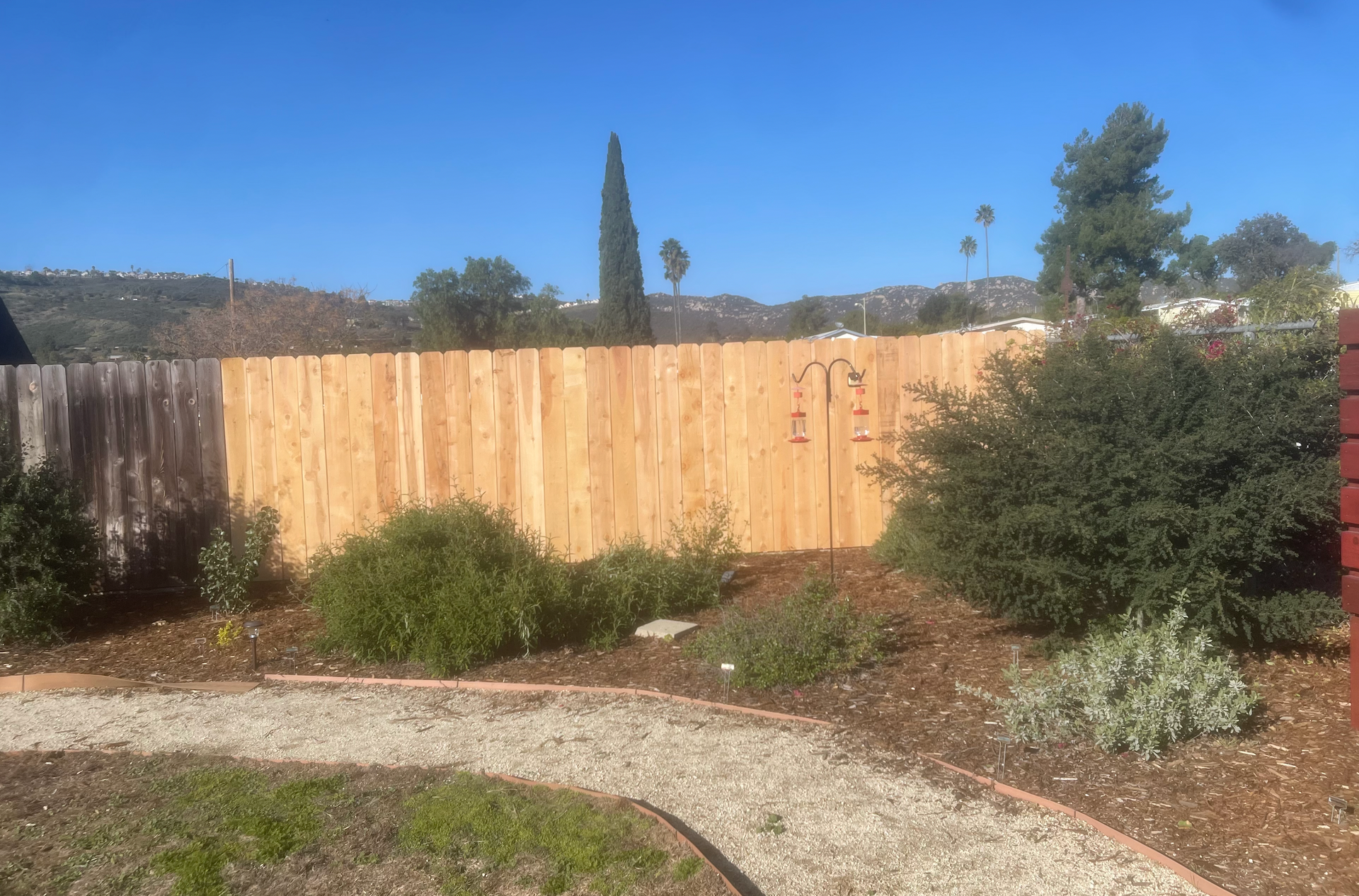 A wooden fence is surrounded by trees and bushes in a backyard.