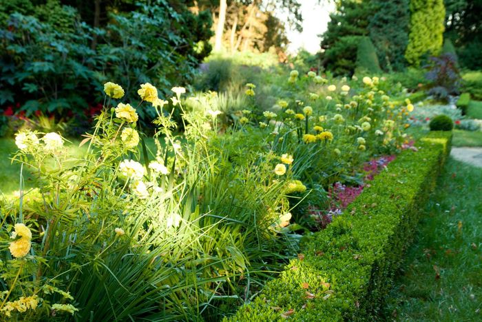 Mulch Landscaping Company Schaumburg IL