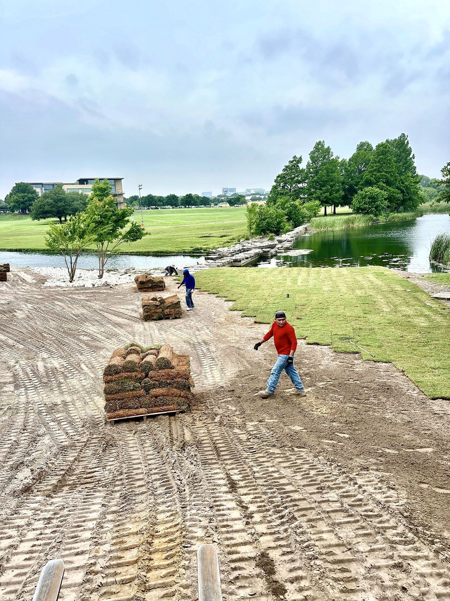 Landscape commercial 2