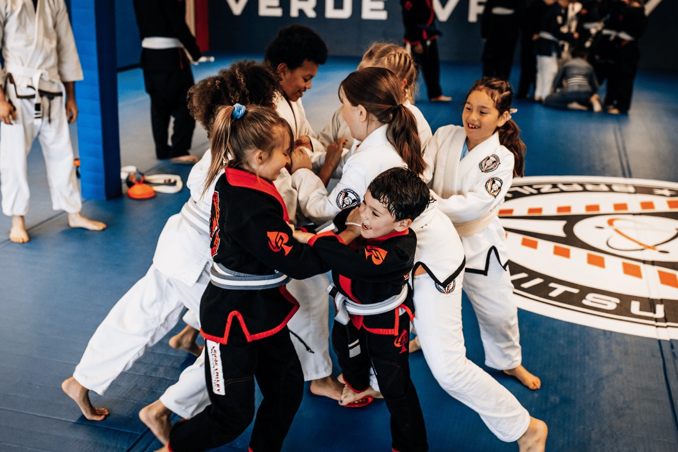 Verde Valley Jiu-Jitsu