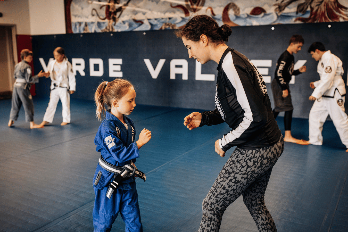 Verde Valley Jiu-Jitsu