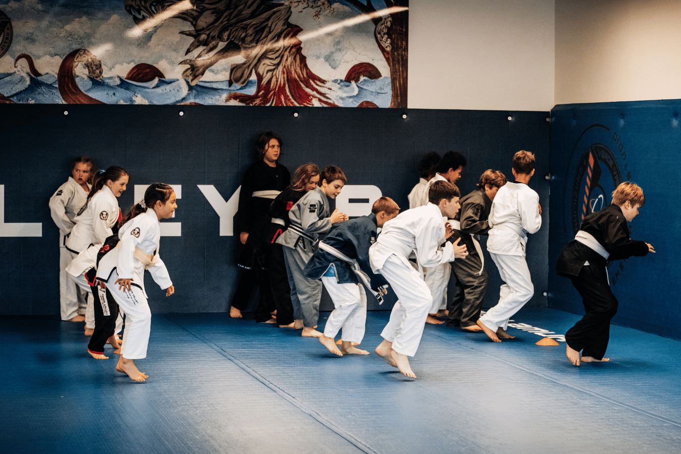 Verde Valley Jiu-Jitsu