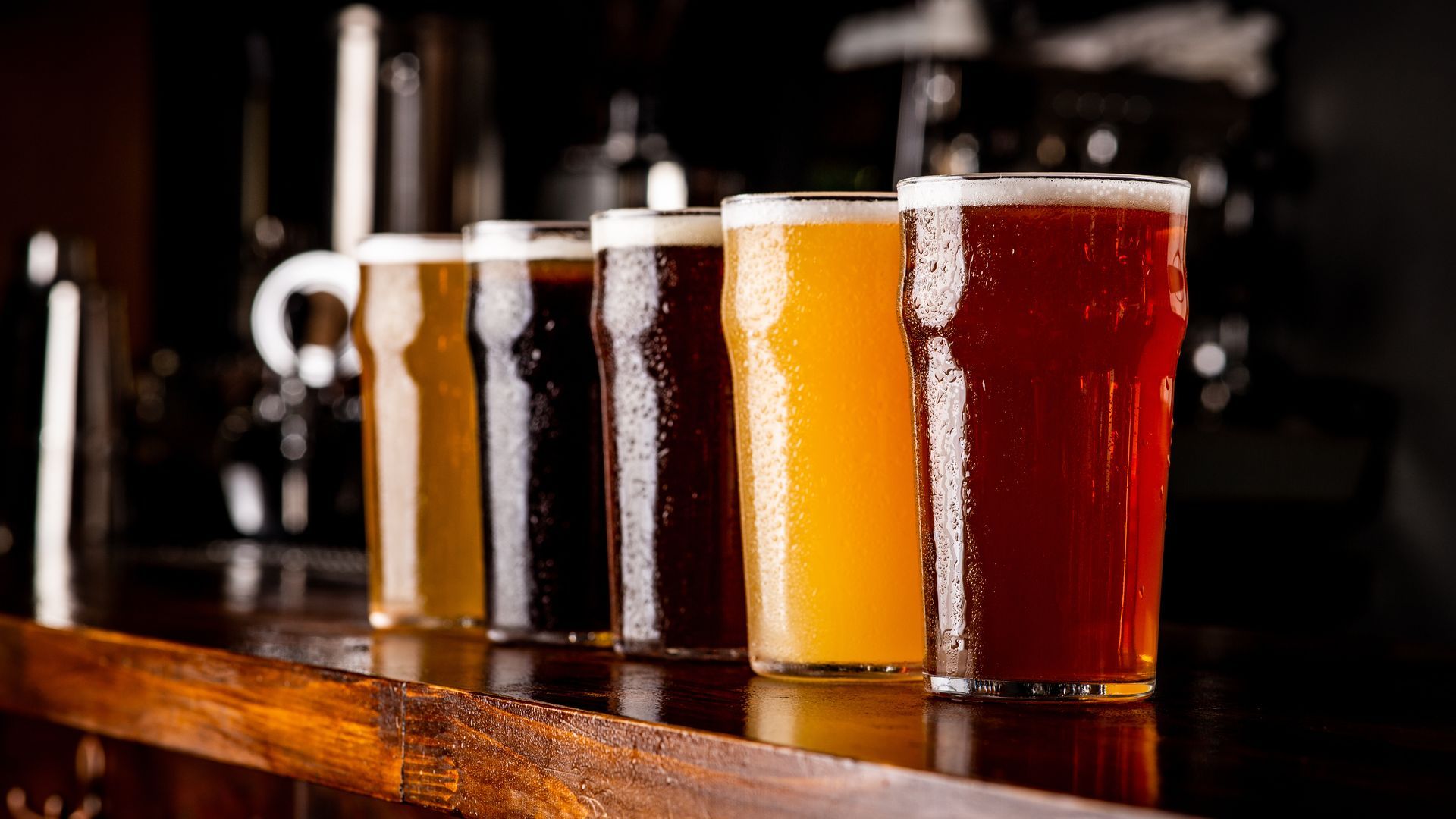 Five pints of beer, varying shades of amber to dark brown, lined up on a bar.